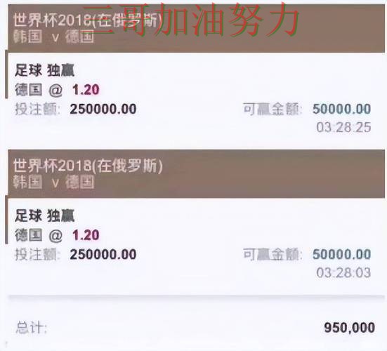 世界杯官方信息背景下的世界杯买球平台推荐与访问方式直播解析